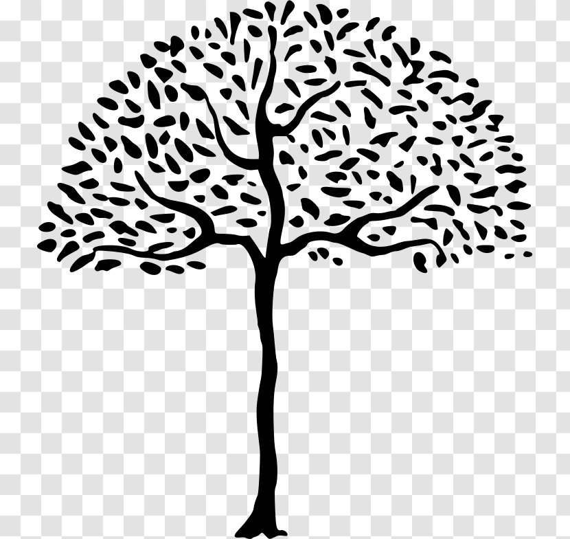 Line & Form Drawing Clip Art - Text - Simple Tree Transparent PNG
