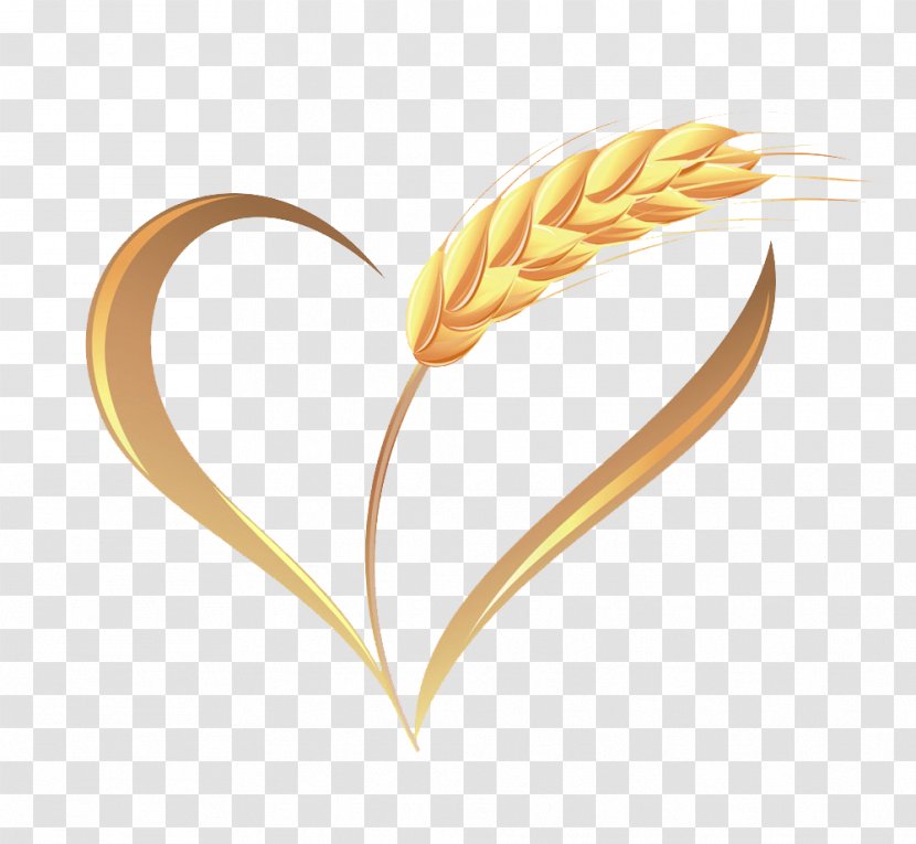 Wheat Ear Illustration - Crop - Harvest Transparent PNG