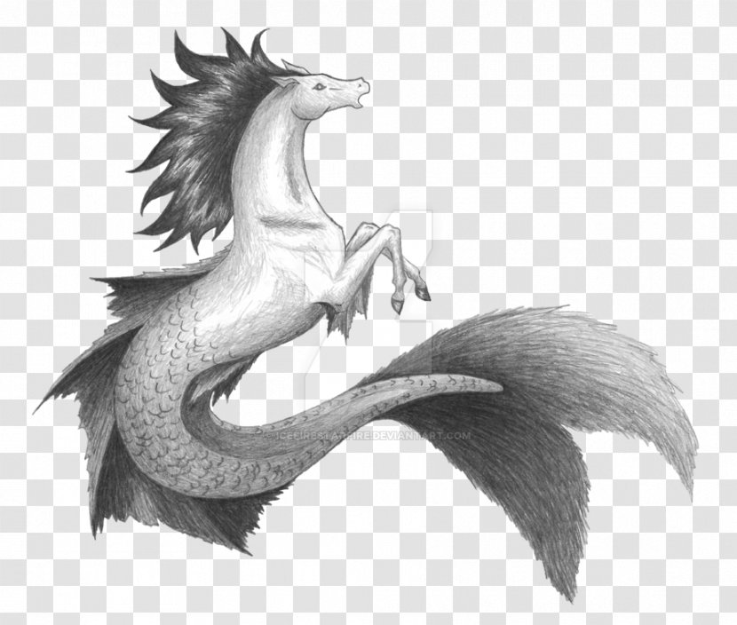 Hippocampus Dragon Drawing Greek Mythology Sketch - Kelpie Transparent PNG