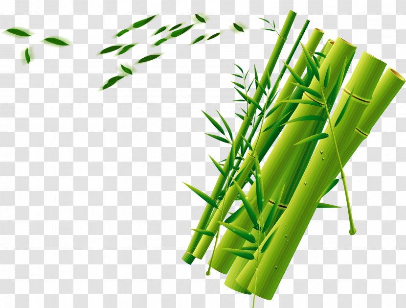 Bamboo Green Download - Plant Stem - Decorative Background Transparent PNG