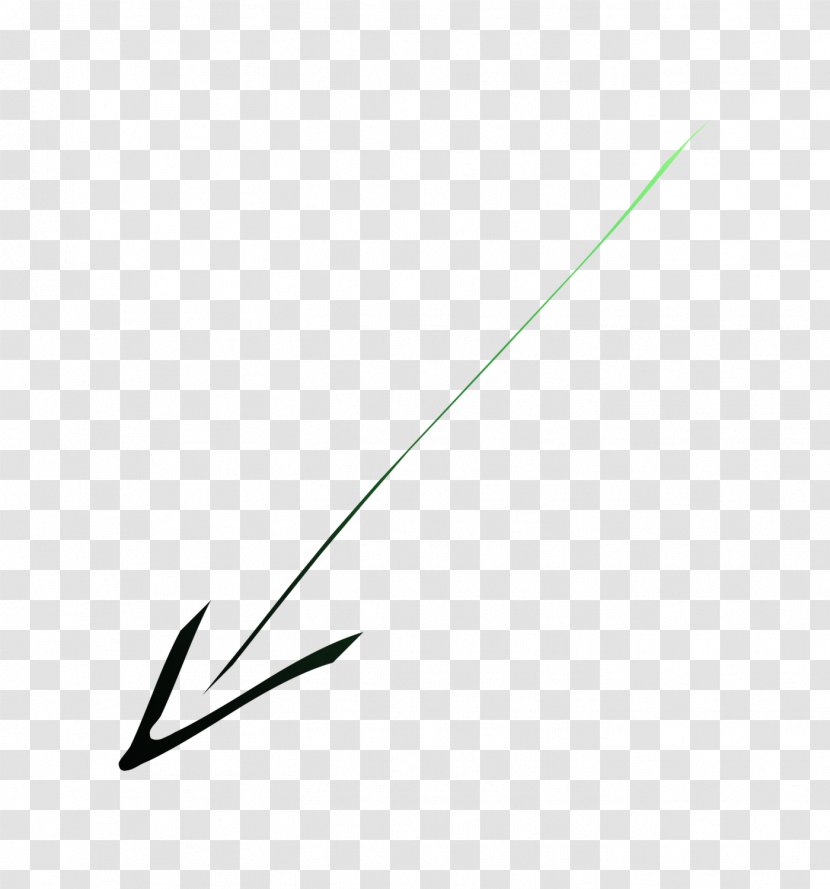 Leaf Line Angle Plant Stem Font Transparent PNG
