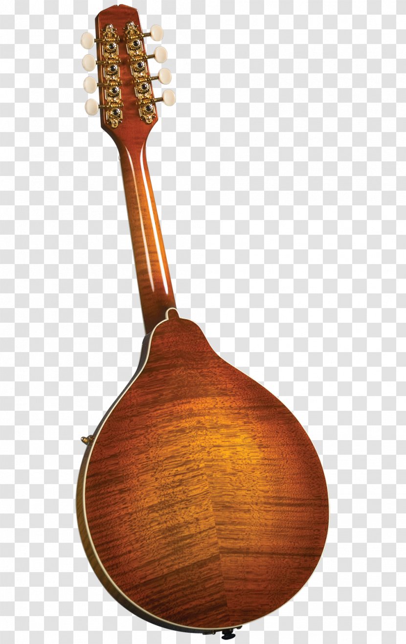 Mandolin Musical Instruments Sunburst Acoustic-electric Guitar Tiple - Frame Transparent PNG