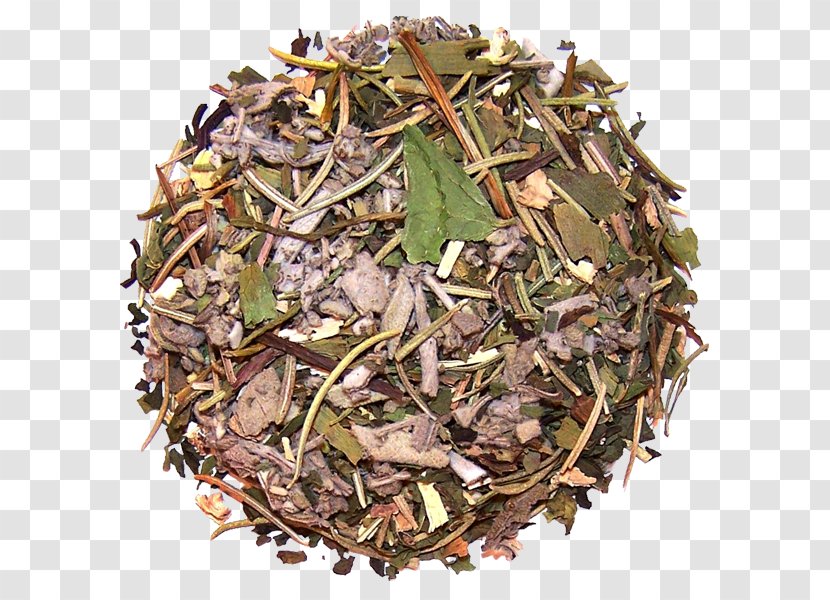 Nilgiri Tea Hōjicha Herb Spice Plant - Earl Grey - Oolong Transparent PNG