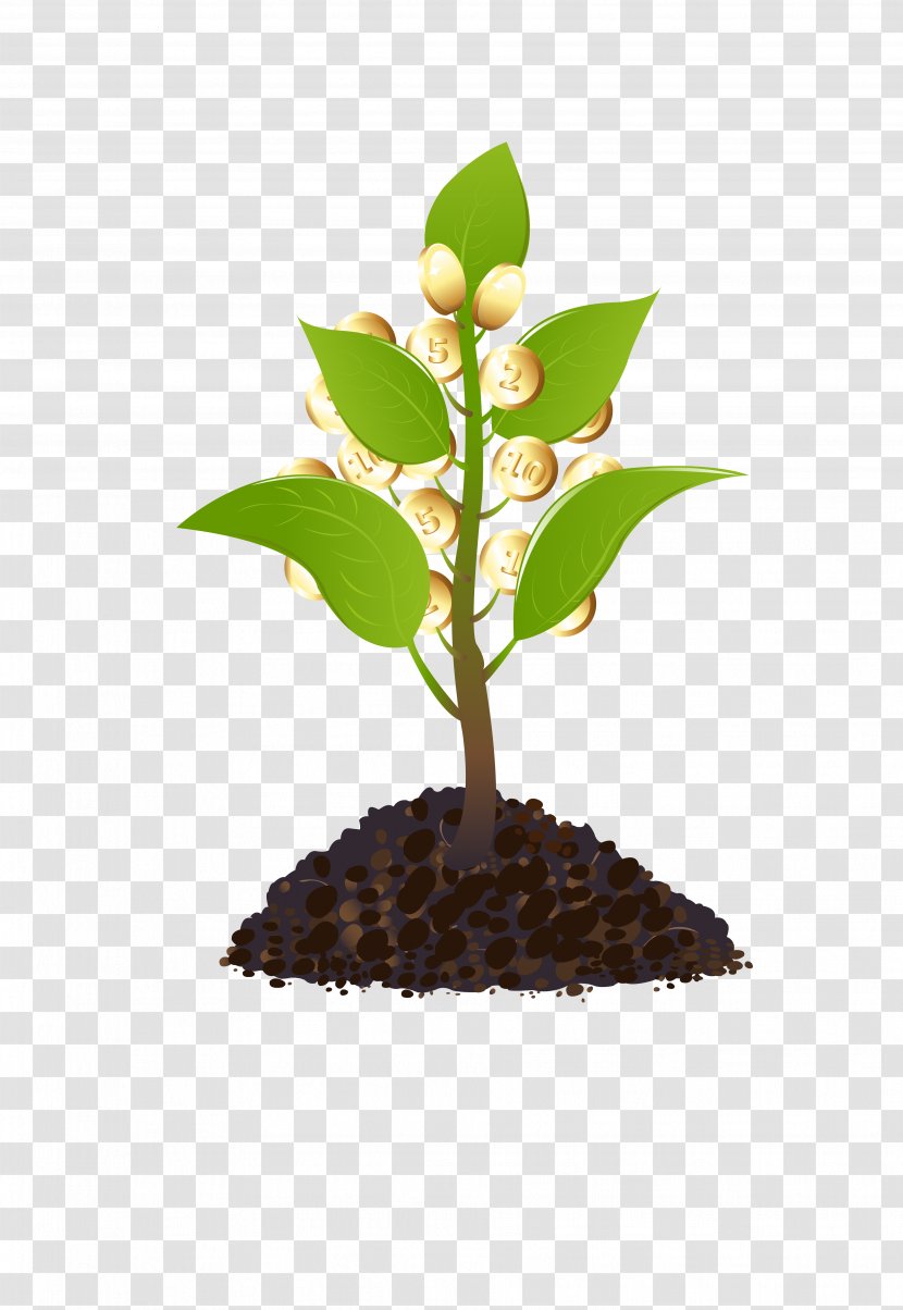Tree Watering Can Plant Clip Art - Guiana Chestnut - Shake The Money Grass Transparent PNG