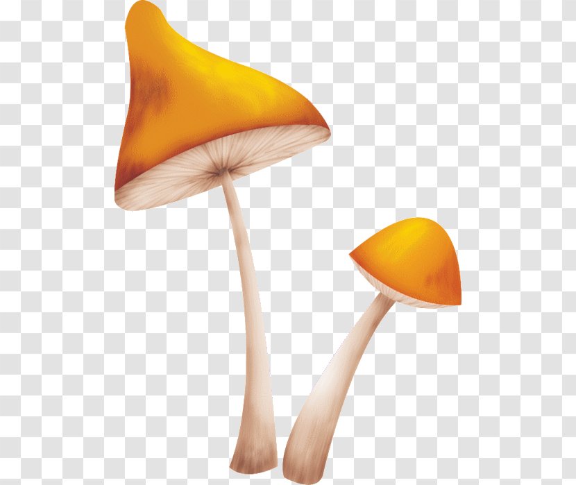 Mushroom Украинский алфавит для детей Fungus - Orange Transparent PNG