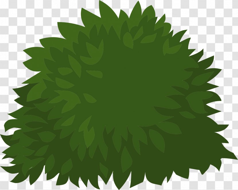 Clip Art Openclipart Free Content Shrub - Green - Grass Transparent PNG