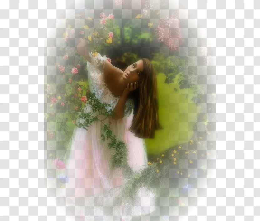 Long Hair Desktop Wallpaper Fairy Computer - Heart Transparent PNG