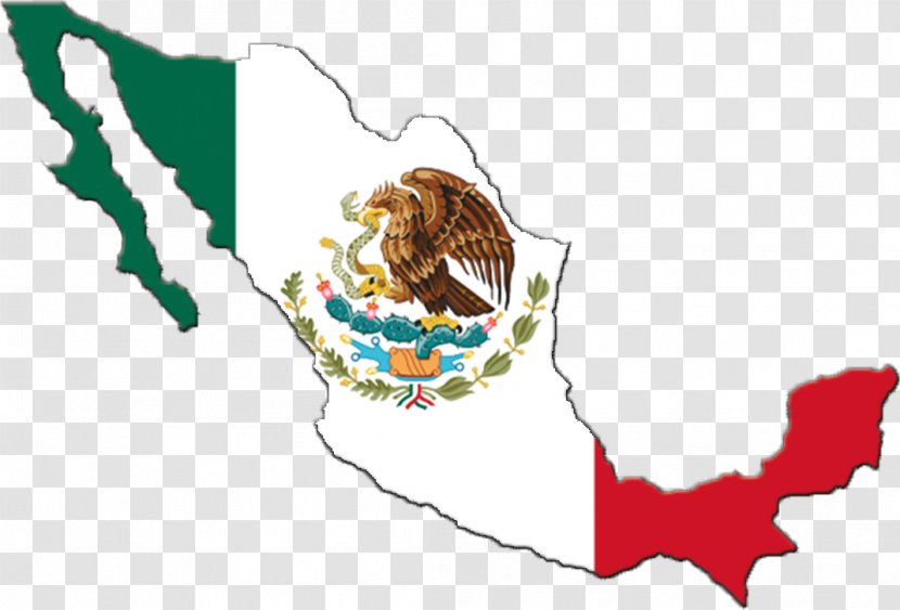 Flag Of Mexico Blank Map - Organism Transparent PNG