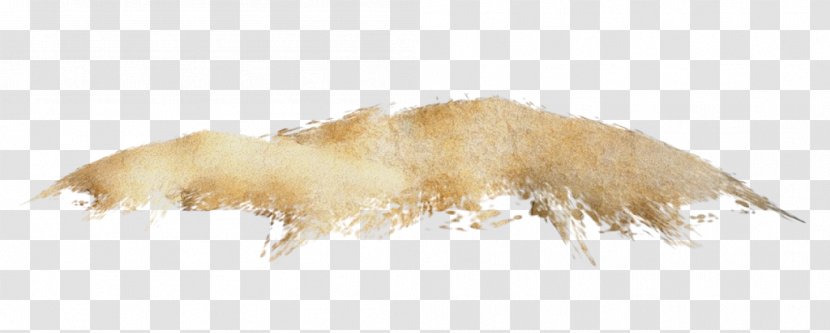 Watercolor Cartoon - Canidae - Beige Tail Transparent PNG