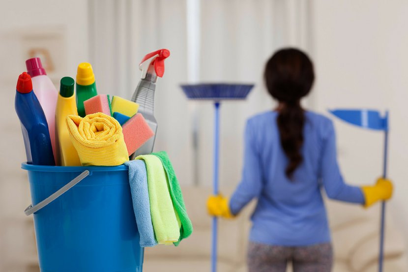 Cleaner Maid Service Housekeeping Cleaning - House Transparent PNG