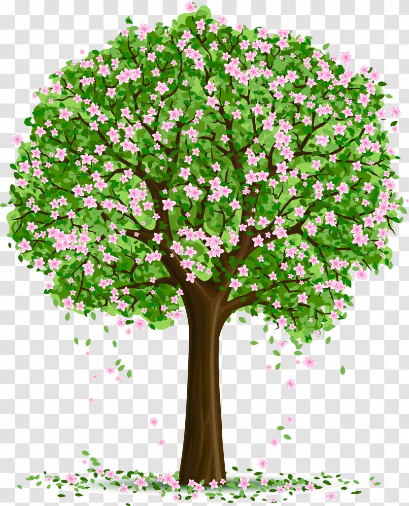 Tree Art Clip - Flora Transparent PNG