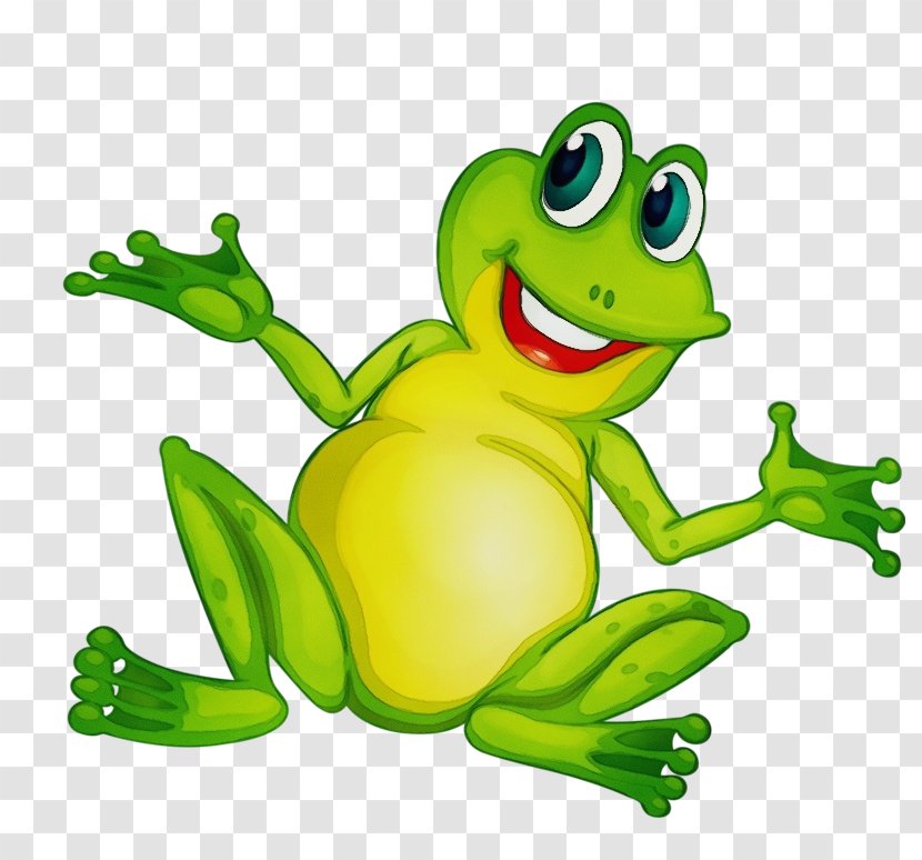 Green Agalychnis Tree Frog True - Shrub Cartoon Transparent PNG