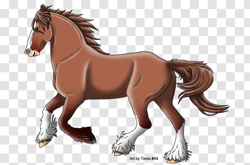 Foal Mane Stallion Mustang Mare Transparent PNG