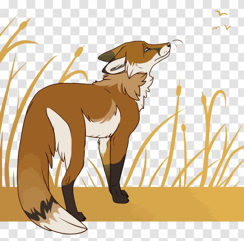 Red Fox Dog Euclidean Vector Illustration - Like Mammal - Reed Grass Transparent PNG
