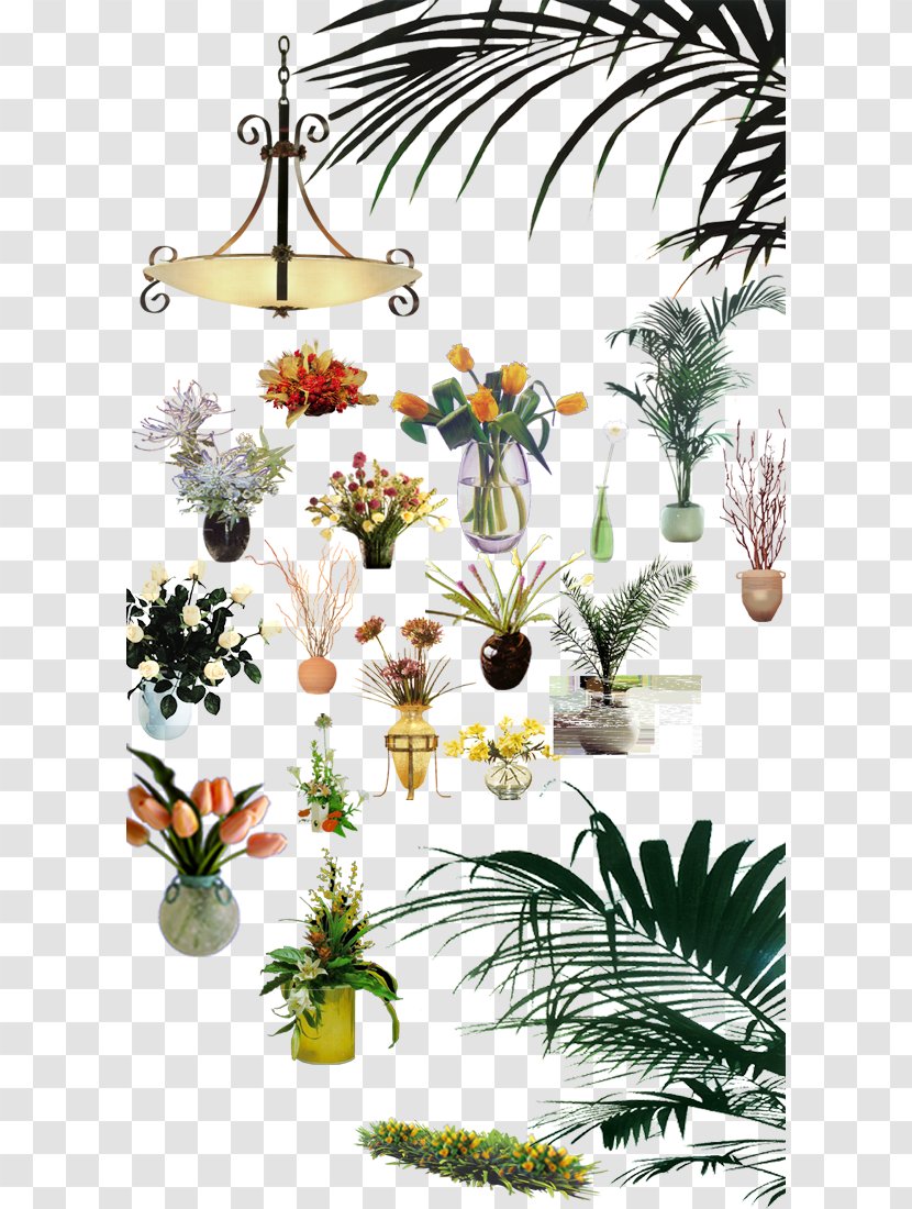 Plant Designer Floral Design - Flowering - Vase Interior Furnishings Transparent PNG