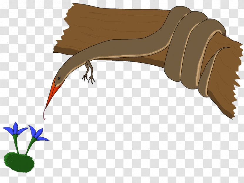 Speculative Evolution Pterosaurs Art Biology - Bird Transparent PNG