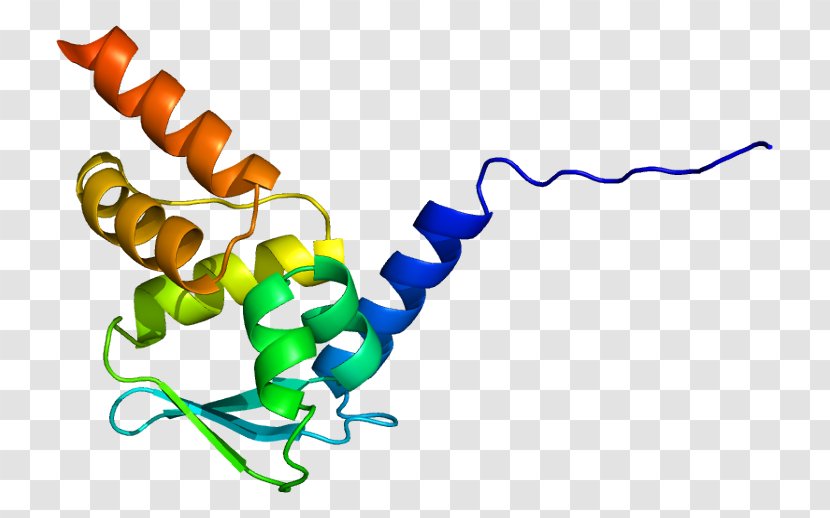 Zinc Finger And BTB Domain-containing Protein 16 BTB/POZ Domain - Transcription Factor Transparent PNG