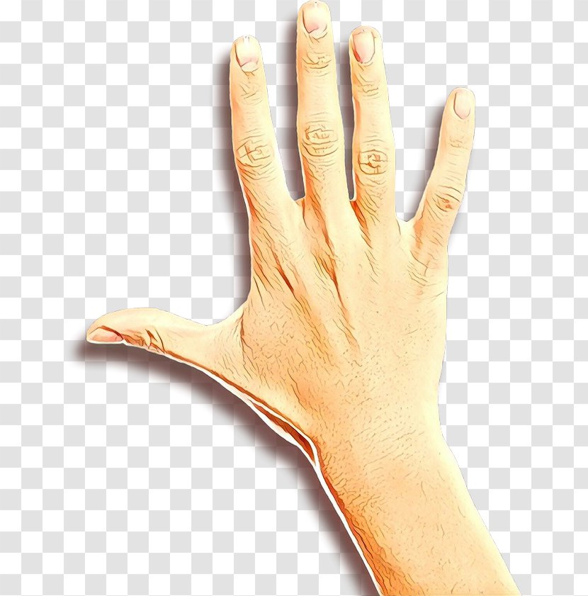 Hand Finger Skin Glove Arm - Wrist Thumb Transparent PNG