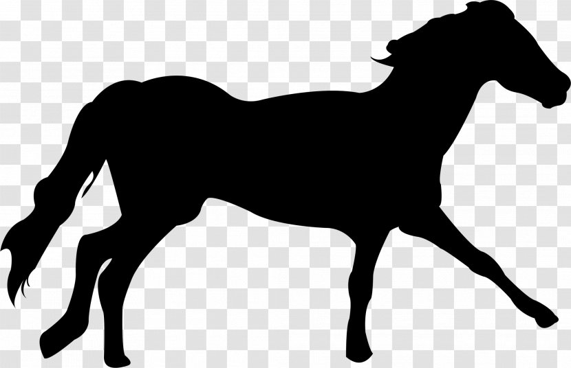 Mustang Clydesdale Horse Arabian Dartmoor Pony - Mare - Running Horses Transparent PNG