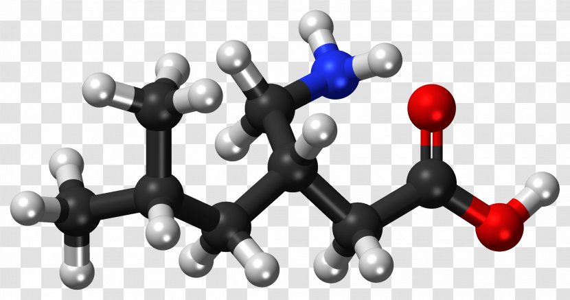 Gamma-Aminobutyric Acid Ball-and-stick Model Carboxylic - Molecule Transparent PNG