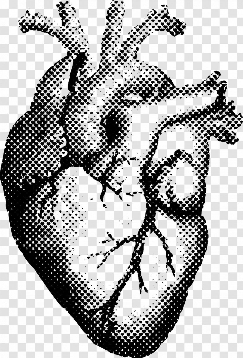 Heart Human Anatomy T-shirt Printing - Watercolor Transparent PNG