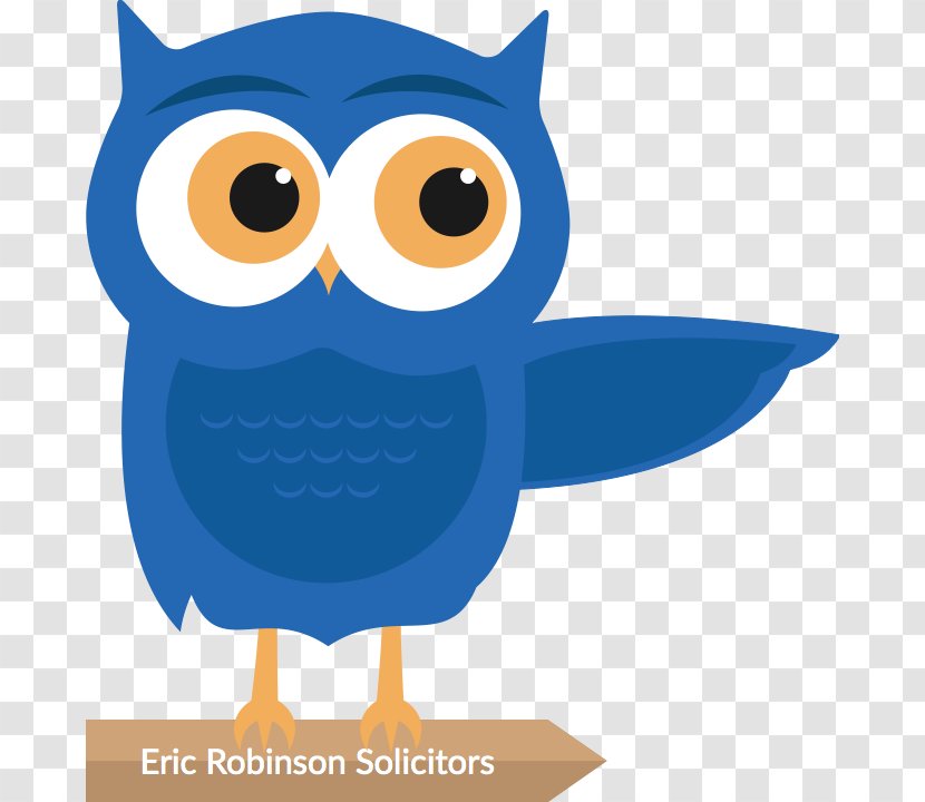 Owl Eric Robinson Solicitors Lawyer Barrister - Bird Of Prey Transparent PNG