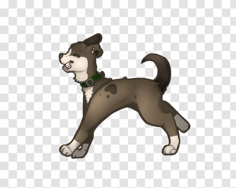 Cat Dog Breed Puppy Pet - Flea Transparent PNG