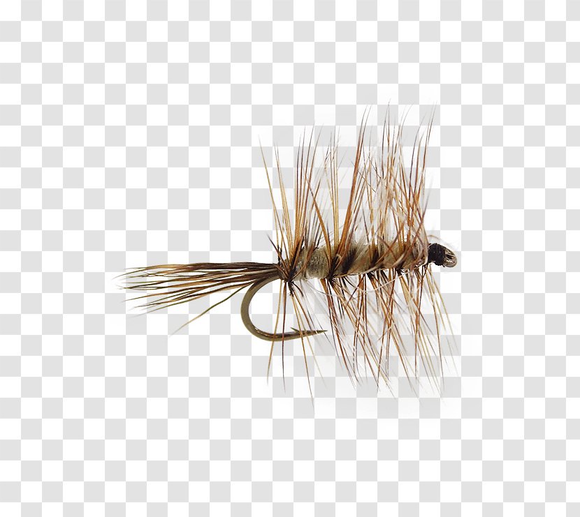 Insect Artificial Fly - Quill - Dry Flies Transparent PNG