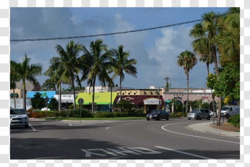 Arecaceae Advertising Transport Property Suburb - Sky Plc - Road Transparent PNG
