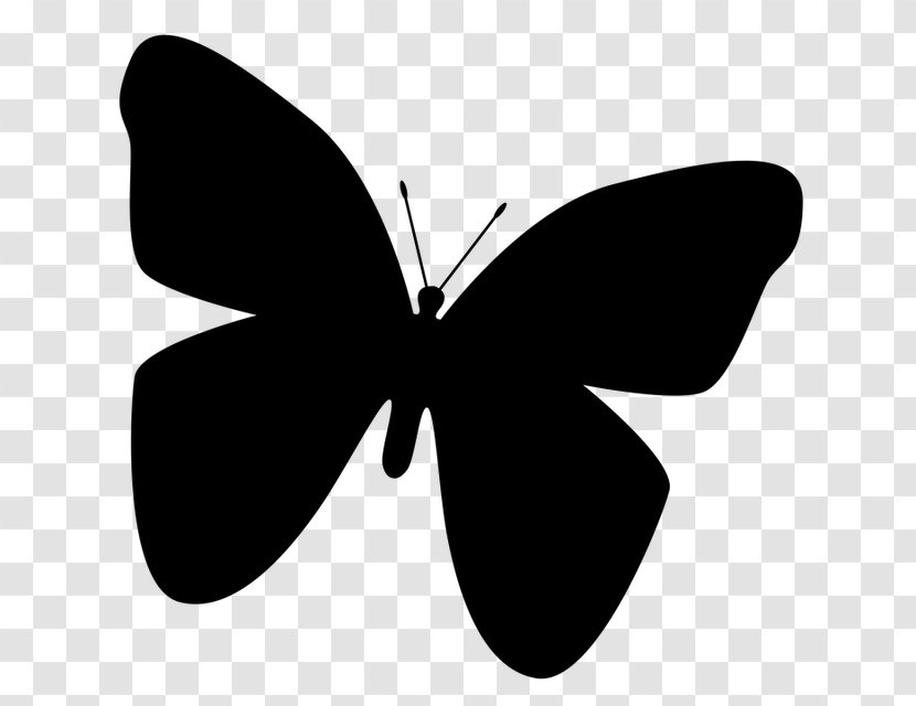 Butterfly Insect Silhouette Clip Art - Pollinator Transparent PNG