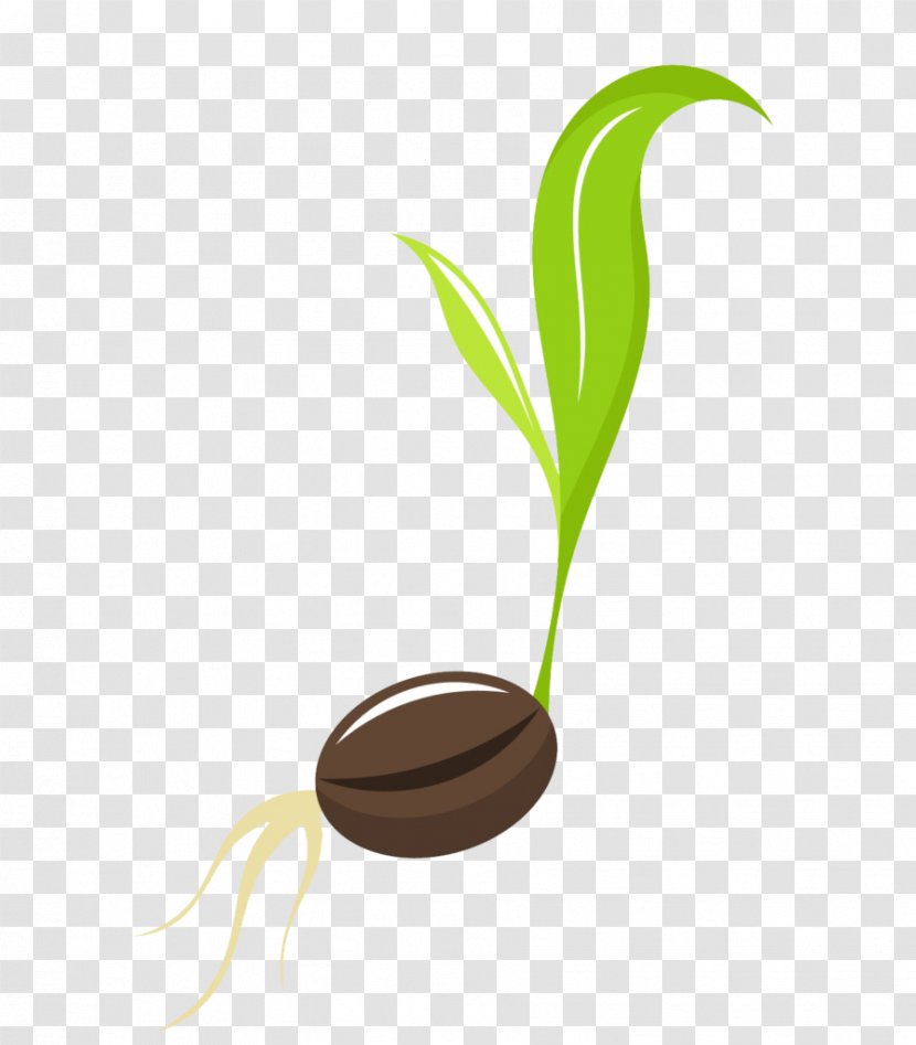 Seedling Sprouting Clip Art - Stock Photography - Royaltyfree Transparent PNG
