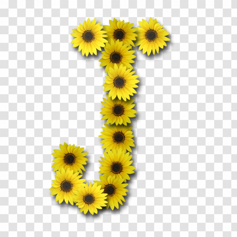 Common Sunflower Letter Alphabet Girasoles J - Flowering Plant - Pary Transparent PNG