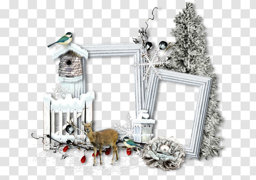 Christmas Picture Frames Data Compression Photography Transparent PNG