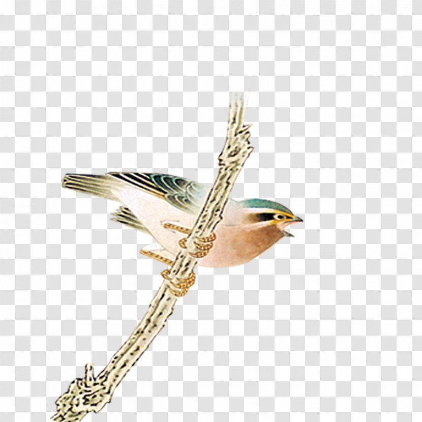 Bird Download - Jewellery - Branches Birds Transparent PNG