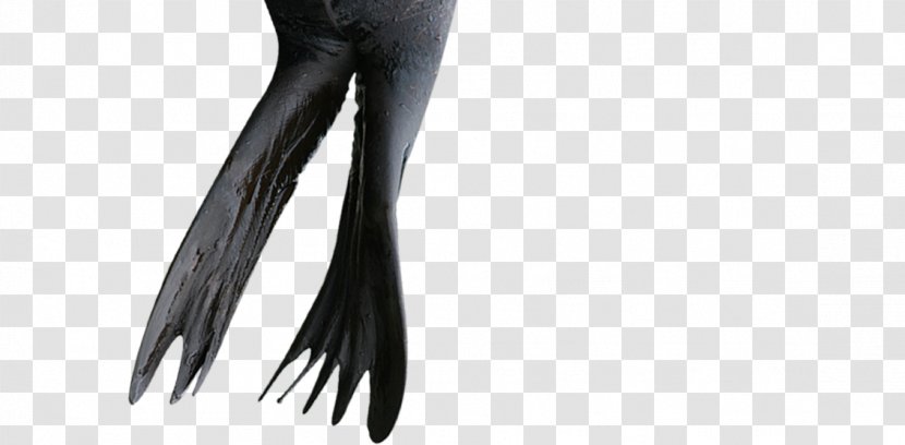 Leggings Abdomen White - Human Leg - Brush Transparent PNG