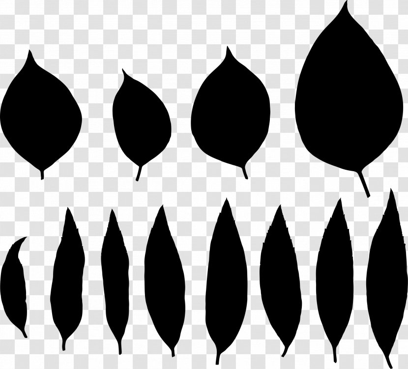 Line Leaf Point Pattern Clip Art - Blackandwhite Transparent PNG