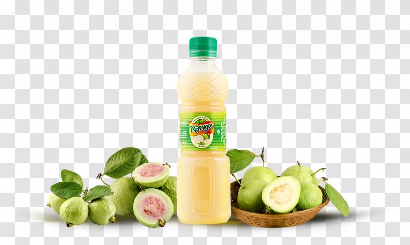 Juice Fizzy Drinks Food Common Guava - Lime Transparent PNG