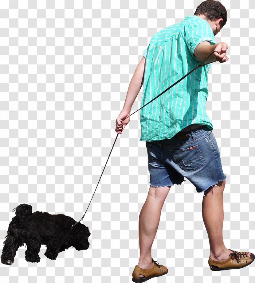 Dog Walking Clip Art - Image File Formats - Free Download People Transparent PNG