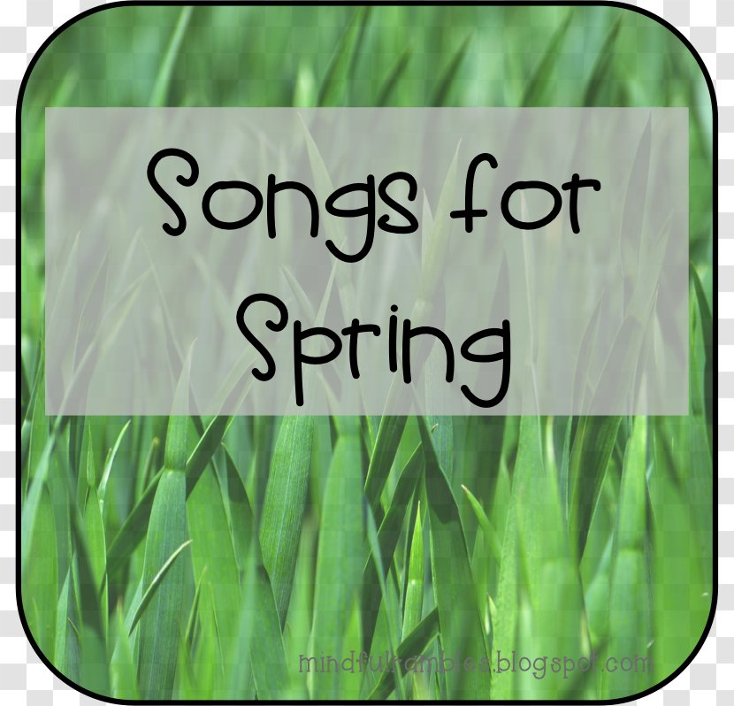 Green Grasses Commodity Font - Spring Equinox Transparent PNG