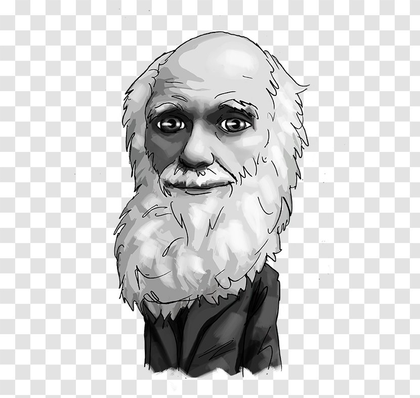 Human Business Foreign Exchange Market Investment Nose - Monochrome - Charles Darwin Transparent PNG