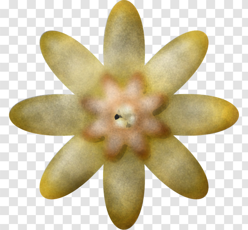 Flower Petal Transparent PNG