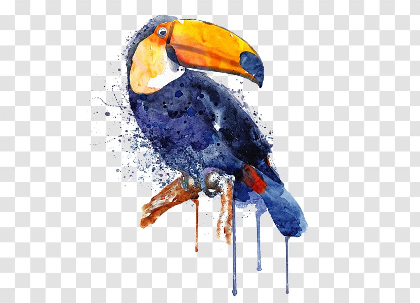 Watercolor Painting Art Toucan Parrot - Wing Transparent PNG