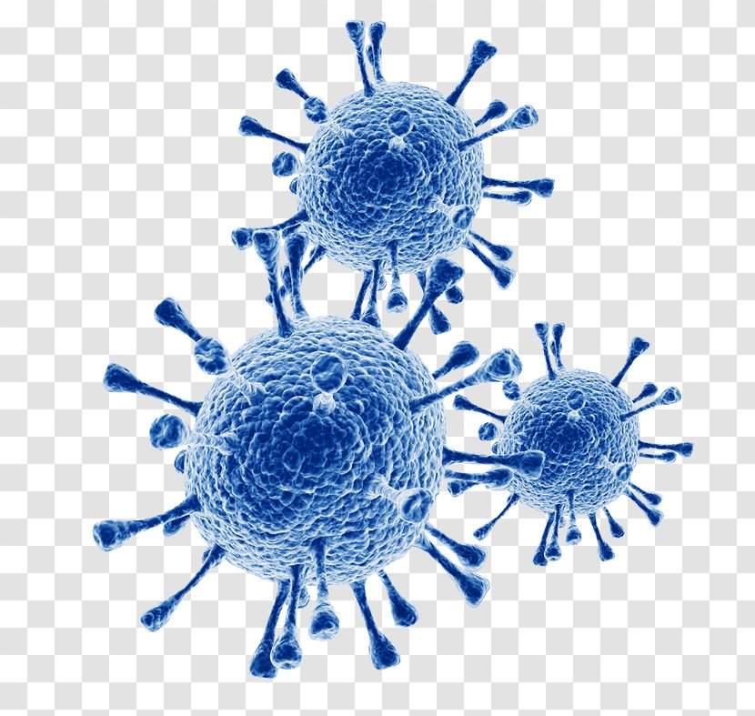 Respiratory Syncytial Virus Infectious Disease Influenza Infection Coronavirus - Organism - Vector Transparent PNG