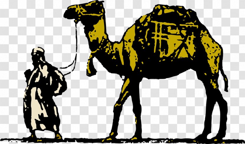 Dromedary Free Content Clip Art - Horse Like Mammal - Camel,desert,animal Transparent PNG