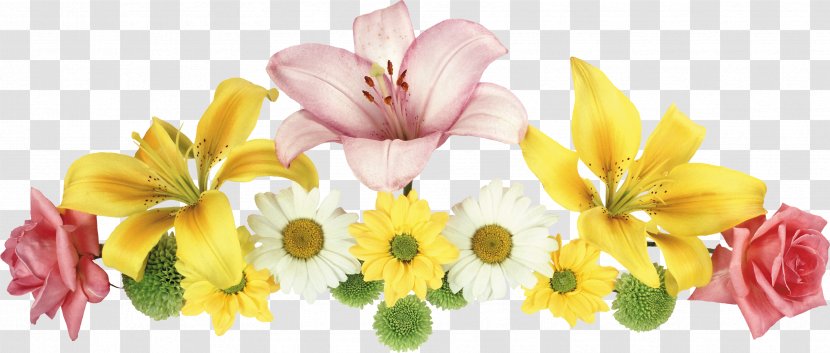 Unblog Photography Tarn Uniform Space - Flower - Arrangement Transparent PNG