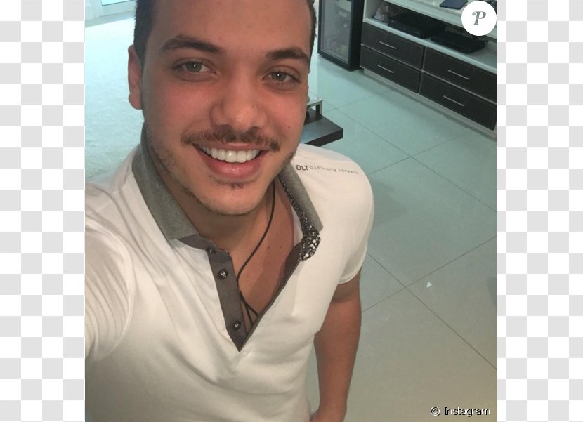 Wesley Safadão Big Brother Brasil 16 Chin Facial Hair - Photography - Moraes Ferreira Da Silva Transparent PNG
