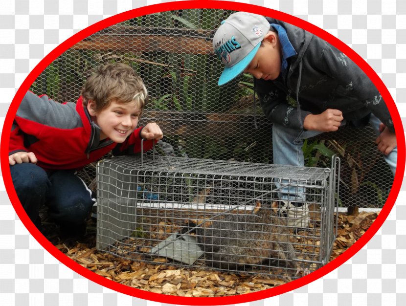 Karetu School Possum Busters - Bus - Removal Garden Tracey Dee RecreationSchool Transparent PNG