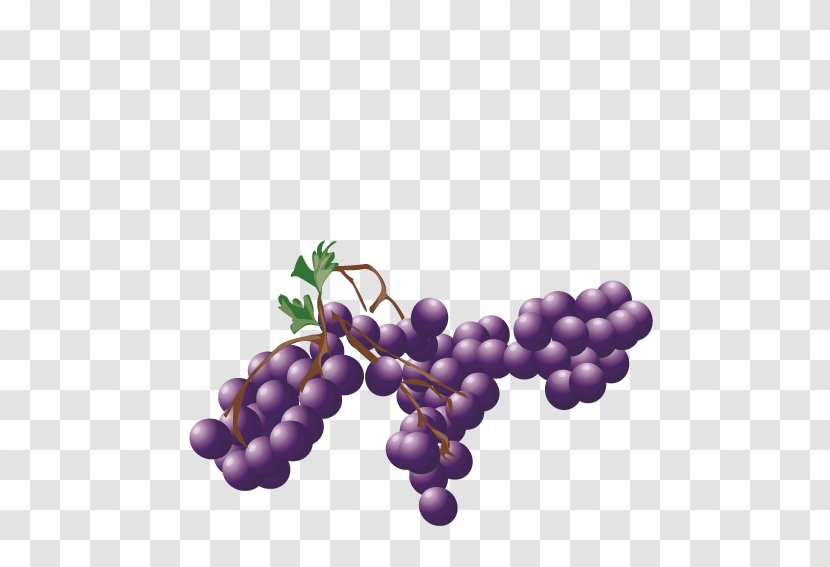 Grape Purple Auglis - Flowering Plant - Fruit Transparent PNG