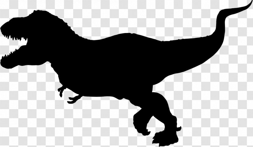 Tyrannosaurus Velociraptor Dinosaur Triceratops Stegosaurus - Drawing Transparent PNG