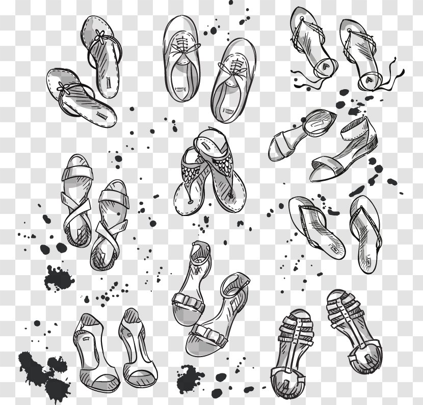 Shoe Footwear Drawing Illustration - Sports Equipment - Painted Many Pairs Of Shoes For Women Transparent PNG